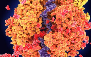 covid-introduced-us-to-the-power-of-mrna.-now-meet-microrna