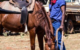 government-pitches-on-country-youth-rehabilitation-facility-as-‘alternative’-to-banskia-hill