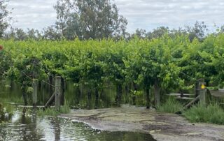 sa-towns-in-race-against-time-as-floodwaters-move-downstream