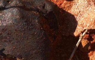 field-of-meteorites-found-nine-years-after-asteroid-explosion-in-sa’s-outback