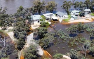 daily-river-murray-flows-crossing-sa-border-reach-levels-not-seen-since-1970s