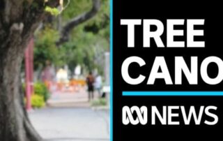 adelaide’s-shrinking-tree-canopy-to-be-investigated
