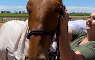 ‘what-community-spirit-means’:-locals-offer-beds,-meals-and-homes-for-horses-ahead-of-sa-flooding
