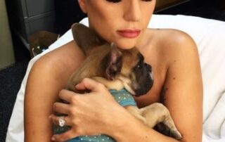 man-who-shot-lady-gaga’s-dog-walker-and-stole-pets-is-jailed-for-21-years