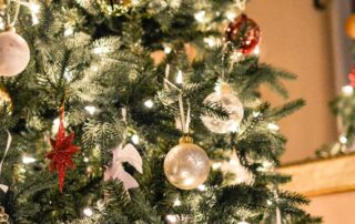 plastic-or-pine?-consumers-urged-to-make-eco-friendly-christmas-tree-choices