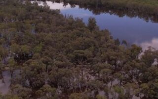 drone-footage-shows-expansive-view-of-high-water-level