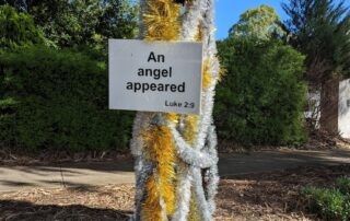 ‘it’s-really-got-the-whole-community-talking’:-adelaide-christmas-decorations-cause-online-stir