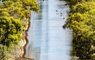 adf-assistance-sought-for-intensifying-river-murray-flooding-emergency,-warning-issued-for-mannum