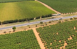 as-river-murray-flood-peak-nears,-wine-industry’s-pleas-for-financial-assistance-go-unfulfilled