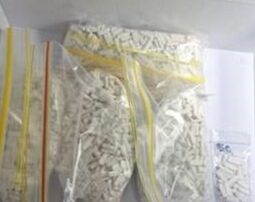 sa-police-seize-fake-xanax-tablets,-cannabis-and-‘heroin-slushie’-from-adelaide-hills-home