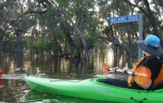 riverland-locals-urge-south-australians-to-come-see-the-high-flows