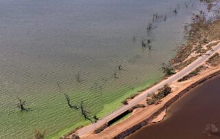 green-sludge-emerges-at-popular-riverland-lake-cut-from-river-murray