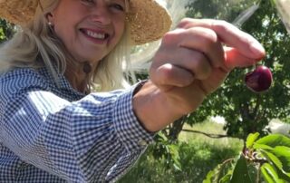 cherry-growers’-crop-to-be-eaten-by-birds-due-to-fruit-fly-rules,-despite-shortage