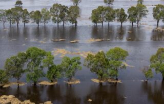 men-cautioned-for-jumping-in-banned-river-murray-on-inflatable-mattresses