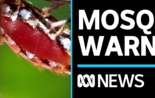dangerous-viruses-detected-in-the-riverland-region.