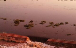 mypolonga-dairy-farm-‘going-underwater’-as-murray-river-levee-bursts