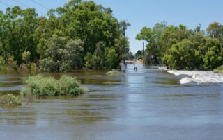 river-murray-peak-passes-renmark,-up-to-1,800-properties-flooded-so-far
