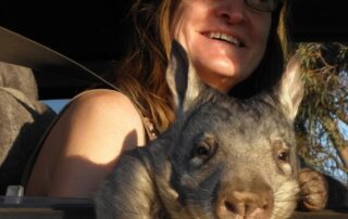 ‘underrated’-marsupials-spotted-in-huge-numbers-on-nullarbor-after-rain