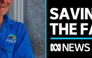 sa-dairy-farm-fights-to-keep-rising-floodwaters-at-bay