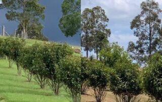 fears-drought-could-follow-floods-as-bom-releases-el-nino-forecast