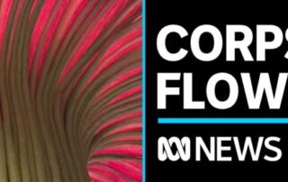 rare-corpse-flower-expected-to-bloom-in-adelaide-soon