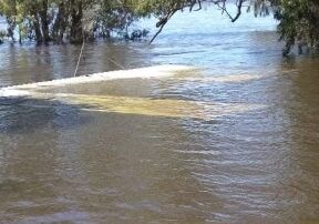 cadell-training-centre-partially-flooded-as-prisoners-assist-sa-riverland-disaster-response