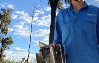 bee-theft-and-vandalism-adding-new-pressure-to-struggling-industry