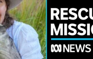 volunteers-working-to-rescue-wombats-in-sa’s-riverland