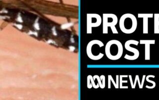 concerns-many-riverland-residents-will-face-japanese-encephalitis-risk