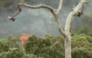 aircraft-at-the-scene-of-a-fire-at-montacute-in-the-adelaide-hills