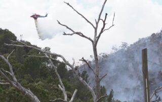 cause-of-adelaide-hills-bushfire-investigated-as-injured-firies-recover