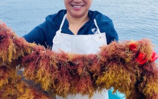 sa-company-to-farm-seaweed-used-to-make-product-worth-$395k-per-kilo