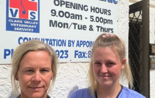 ‘we-were-falsely-accused’:-regional-sa-vet-clinic-closes-after-community-abuse