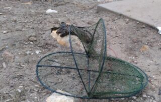 south-australia’s-yabby-fishers-face-uncertainty-on-use-of-net-that’s-banned-in-other-states