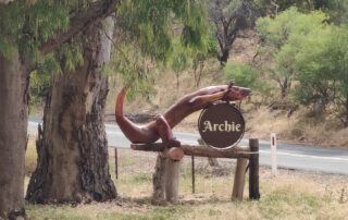 archie-the-goanna-returns-to-sa-a-year-after-being-taken-away