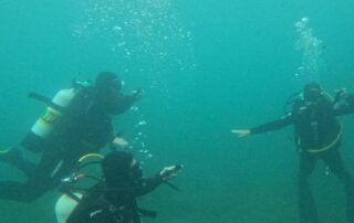 closed-port-lincoln-wharf-steps-leaves-scuba-divers-without-a-ladder-to-climb