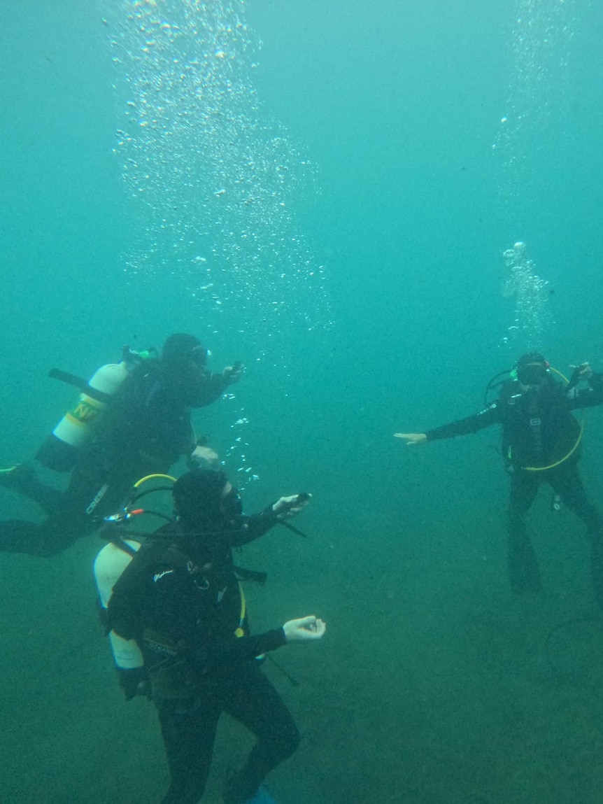 closed-port-lincoln-wharf-steps-leaves-scuba-divers-without-a-ladder-to