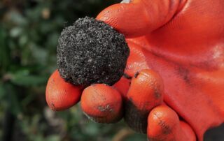truffles-can-sell-for-$1,500-a-kilo-and-while-growing-them-is-tricky,-more-people-are-having-a-go