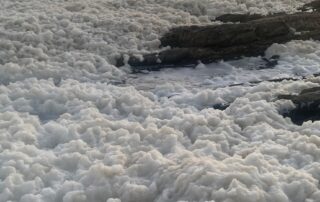 murray-river-floodwater-creates-spectacular-sea-foam-on-sa-beaches