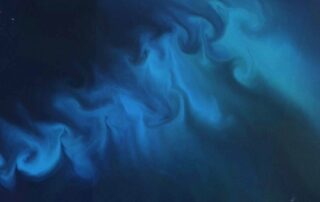 microscopic-organisms-visible-from-space-creating-‘smorgasbord’-for-marine-life