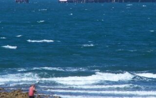 domestic-gas-supply-at-risk,-says-union,-as-port-workers’-months-long-strike-rolls-on