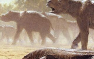 ‘a-wrinkle-in-the-story’:-fossil-shows-possible-human-interaction-with-megafauna
