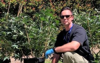cannabis-crop-discovered-after-man-in-60s-races-into-burning-house-to-check-on-neighbours