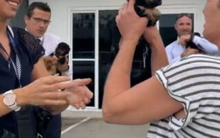 jeni-merry-reunited-with-her-stolen-cavoodle-puppies