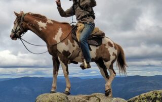 erwin-and-monique-had-fallen-out-of-love-with-life.-now,-with-a-just-tiny-home-and-horses,-they-couldn’t-be-happier
