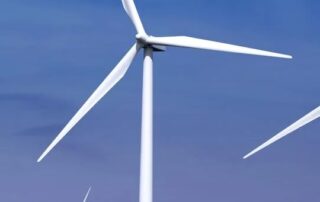 concerns-over-environmental-impact-of-offshore-wind-farm-proposed-for-sa’s-limestone-coast
