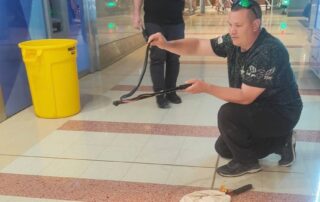 highly-venomous-snake-hides-out-in-sa’s-largest-shopping-centre-for-two-days