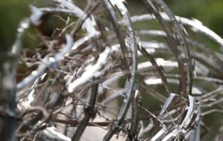 breach-of-bail-to-be-reintroduced-as-offence-for-young-offenders-in-queensland,-premier-says