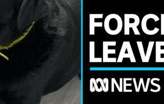 army-veteran-forced-to-leave-‘life-saving’-assistance-dog