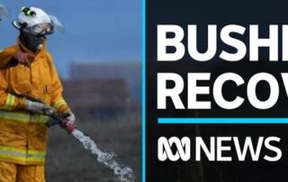 clean-up-continues-in-port-lincoln-after-devastating-bushfire